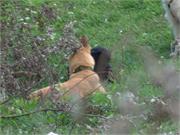 Timmy und Duffy machen ne Pause